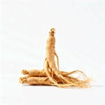 Panax Ginseng Extract for Mental Vitality